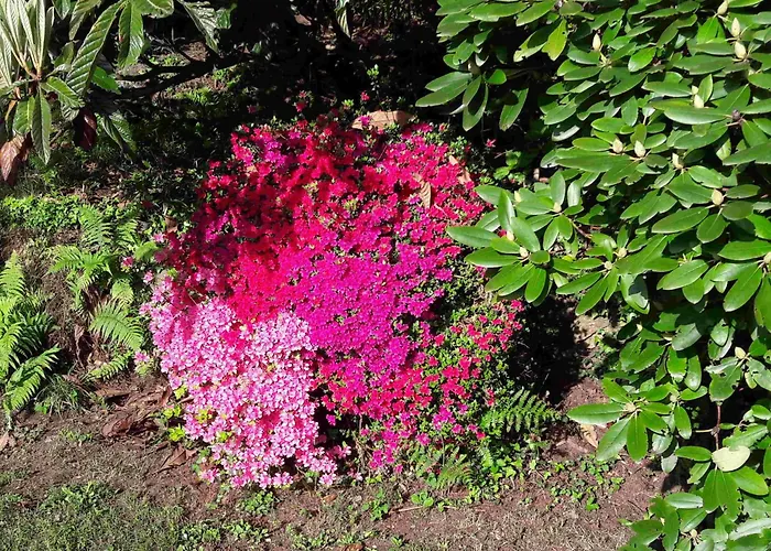 La Civetta By Fewotessin Dom wakacyjny