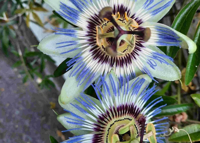 Dom wakacyjny La Civetta By Fewotessin *